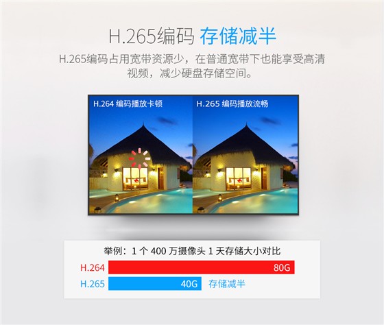 日夜半球网络摄像机