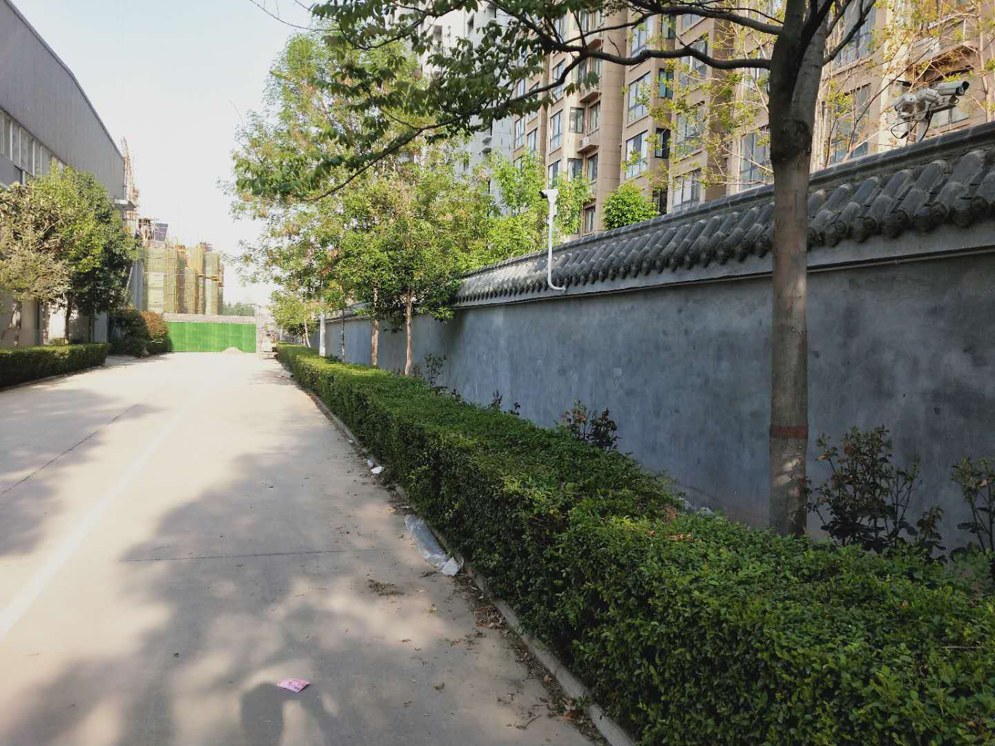 得熙生物3