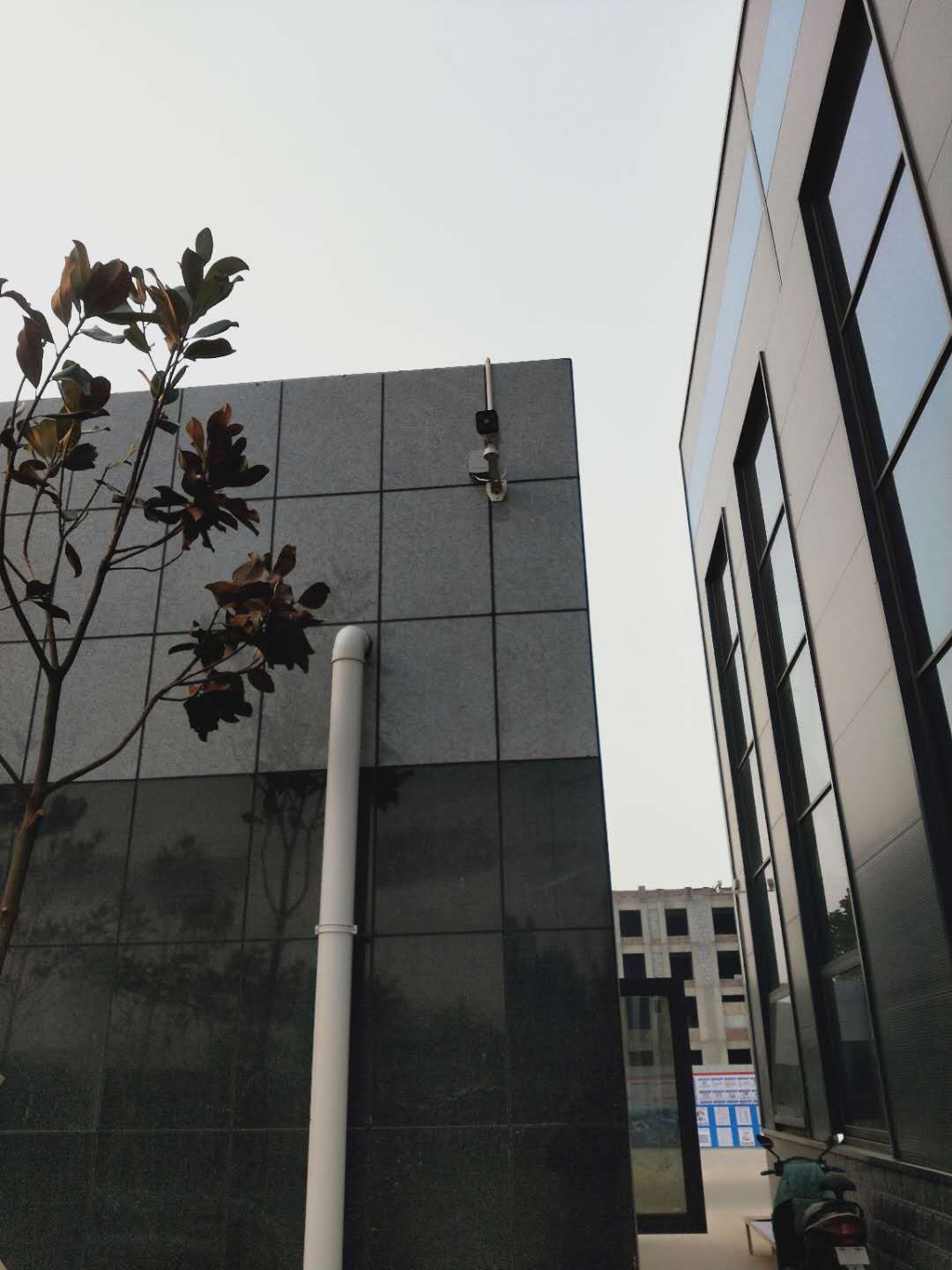 天贝4