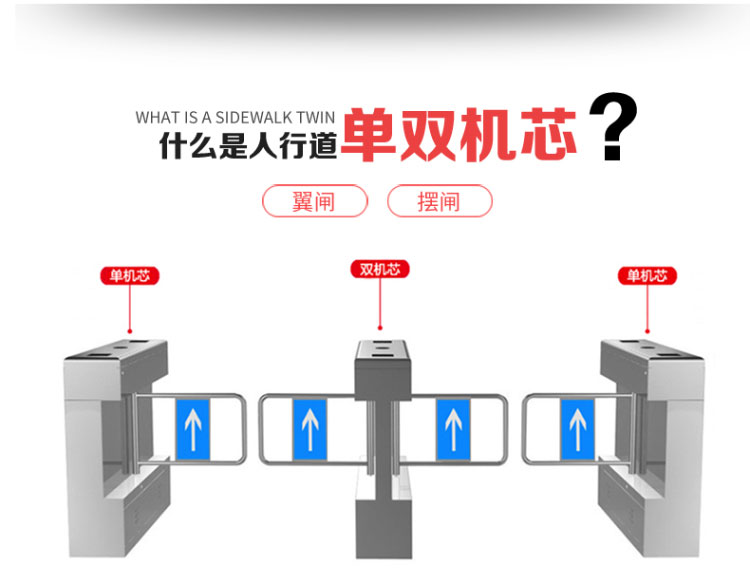 动态人脸识别摆闸通道